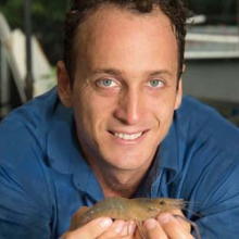 Dr Peter Novak has been the first to follow the life cycle of an iconic freshwater prawn species