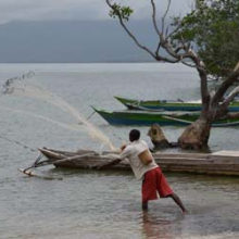 A fisher in Timor-Leste casts his net over small schools of inshore fish in front of his village. Photo: Dirk Steenbergen