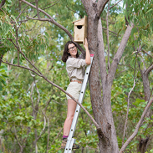 CDU PhD candidate Cara Penton installs a custom-made nest box in a tree at the Casuarina woodland