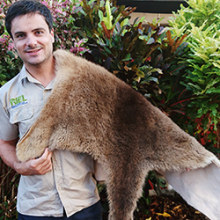 PhD candidate Stewart Pittard won a kangaroo pelt for Best Student Presentation at the conference