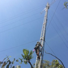 CDU researcher Michael Brand climbs the 40-metre tower at the Litchfield SuperSite