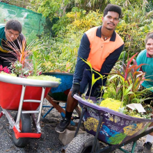 From left – Willis Taripo, Romone Lewin and Bradley Garlepp with their wheelbarrow gardens