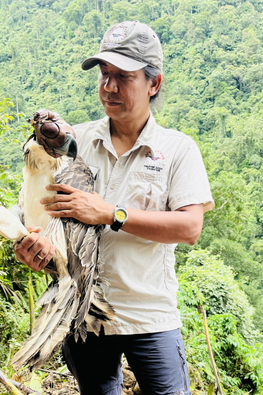 Person wearing Philippine Eagle Foundation shirt, holding an eagle, against a background of a forest canopy. The eagle is wearing a leather hood.